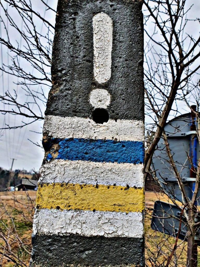 fot. Agnieszka Konieczna